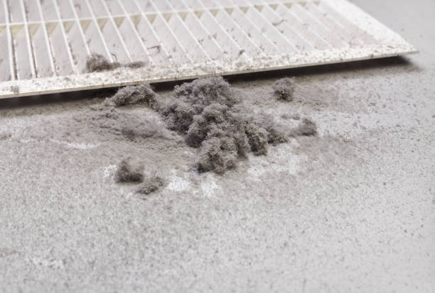 Best Home Air Vent Cleaning  in Flossmoor, IL