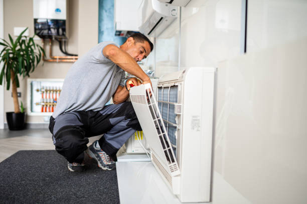 Best Air Duct Sanitizing Services  in Flossmoor, IL